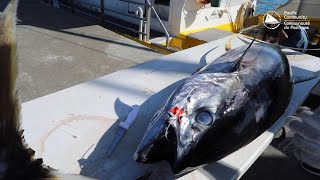 Pacific Tuna Data workshop (TDW) | Voices of Republic of Marshall Islands and Palau