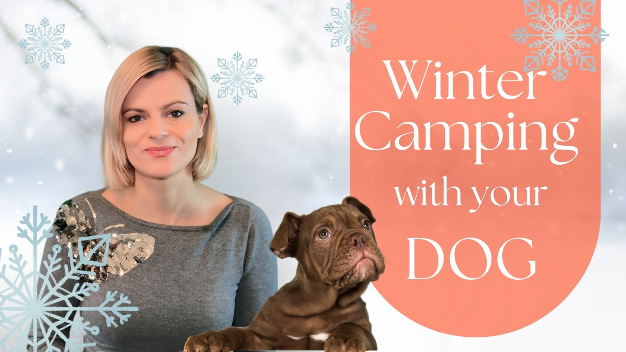 Winter Camping With Dogs -  Tips For The Best Experience!