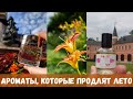 Ароматы, которые продлят лето. 🌄