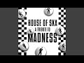 Miniature de la vidéo de la chanson Madness (Single Mix)
