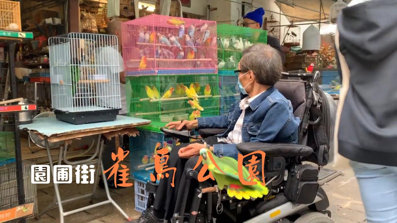 雀仔街（太子園圃街）