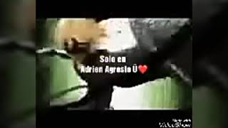 Parodia 4 Ladybug Leer Descripción