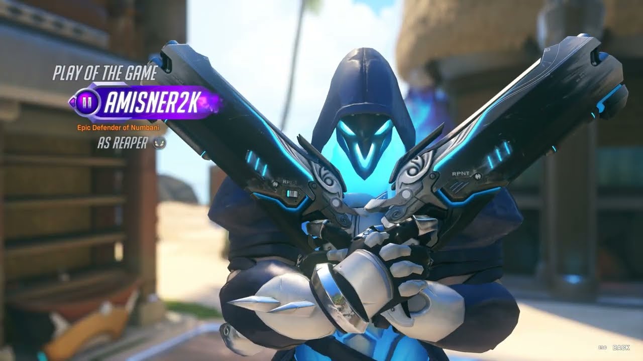 Reaper's Felonius Flanking Assault POTG