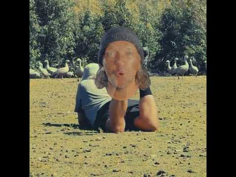 GOOSE GOOSE
