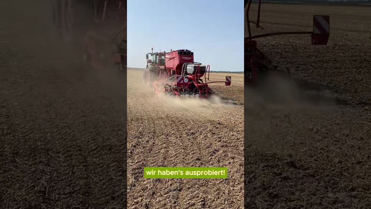 Welche Saattechnik eignet sich am besten für die Zwischenfrucht?