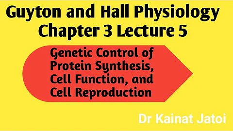 Chapter 3 (Lecture 5)Guyton and Hall Physiology || Genetic Control