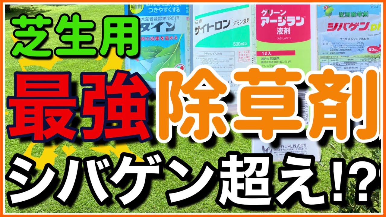 芝生 除草剤 4種を混ぜたらシバゲンを遥かに超えた 最強の除草剤の混ぜ合わせ方法 Youtube