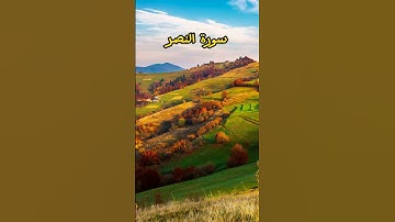 القارئ حسين محمد العيسى سورة النصر
