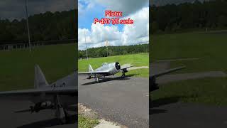 Pilot-rc 1/5 scale P-47D #rc #modelairplane #modelaviation #aviation #warbirds #airplane #rcplane