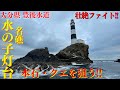豊後水道ど真ん中にそびえ立つ水の子灯台❕底物石鯛、クエを狙う❕