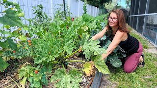 10 Best Vegetables To Grow In A Raised Bed
