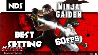 Nintendo DS BEST SETTING FOR LOW END DEVICE WITH Hd graphic | download link