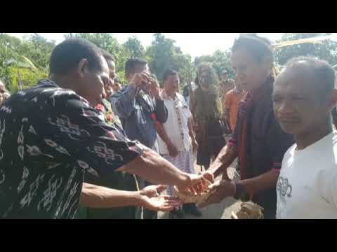 Tradisi penjemputan tamu di Desa Posiwatu-Lembata