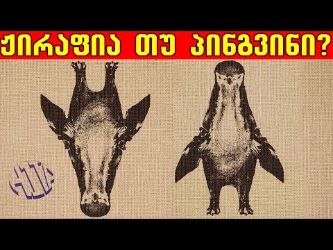 H1Ta - ოპტიკური ილუზიების ხელოვნება #5