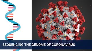 Tracking the spread and mutations of Coronavirus (COVID-19)