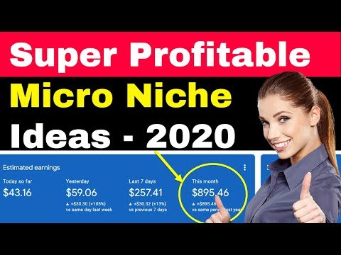 How To Start Micro Niche Blog | Best Micro Niche Ideas For Blogging in 2020