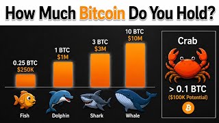 Bitcoin Wealth Levels: How Much BTC to Be Rich?
