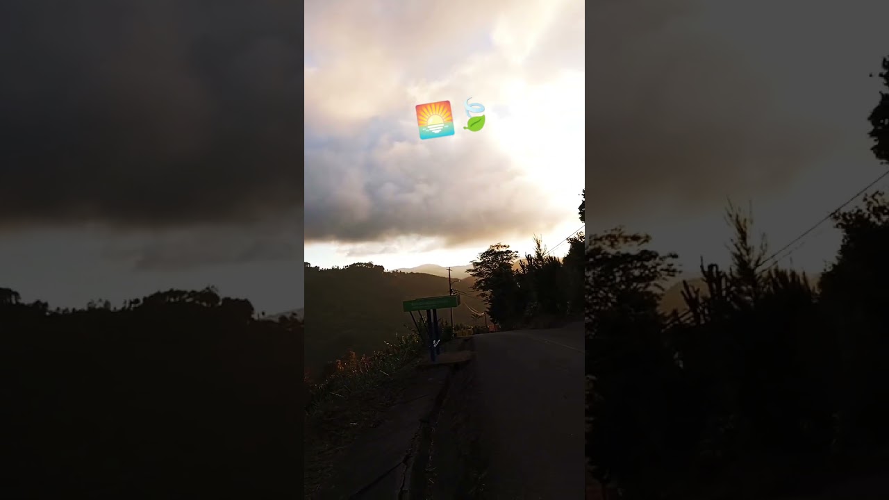 ATARDECER Reggae💚💛❤️ 