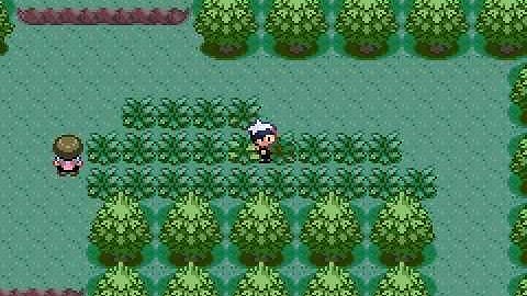 Pokemon Ruby Gameshark problem...(VBA)