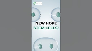 Top Orthopedic Expert Reveals BEST New Treatments for Osteoarthritis Pain Relief