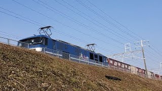深夜貨物が真昼間に通過! EF210-13 70レ 高松タ➡︎東京タ