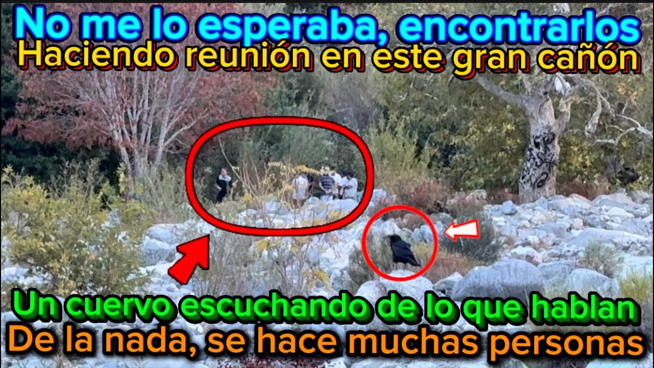 Increíble la reunión que estaban haciendo en este gran cañón,￼ y de la nada se hicieron mucho