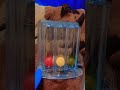 Balls  challenge youtubeshorts balloon