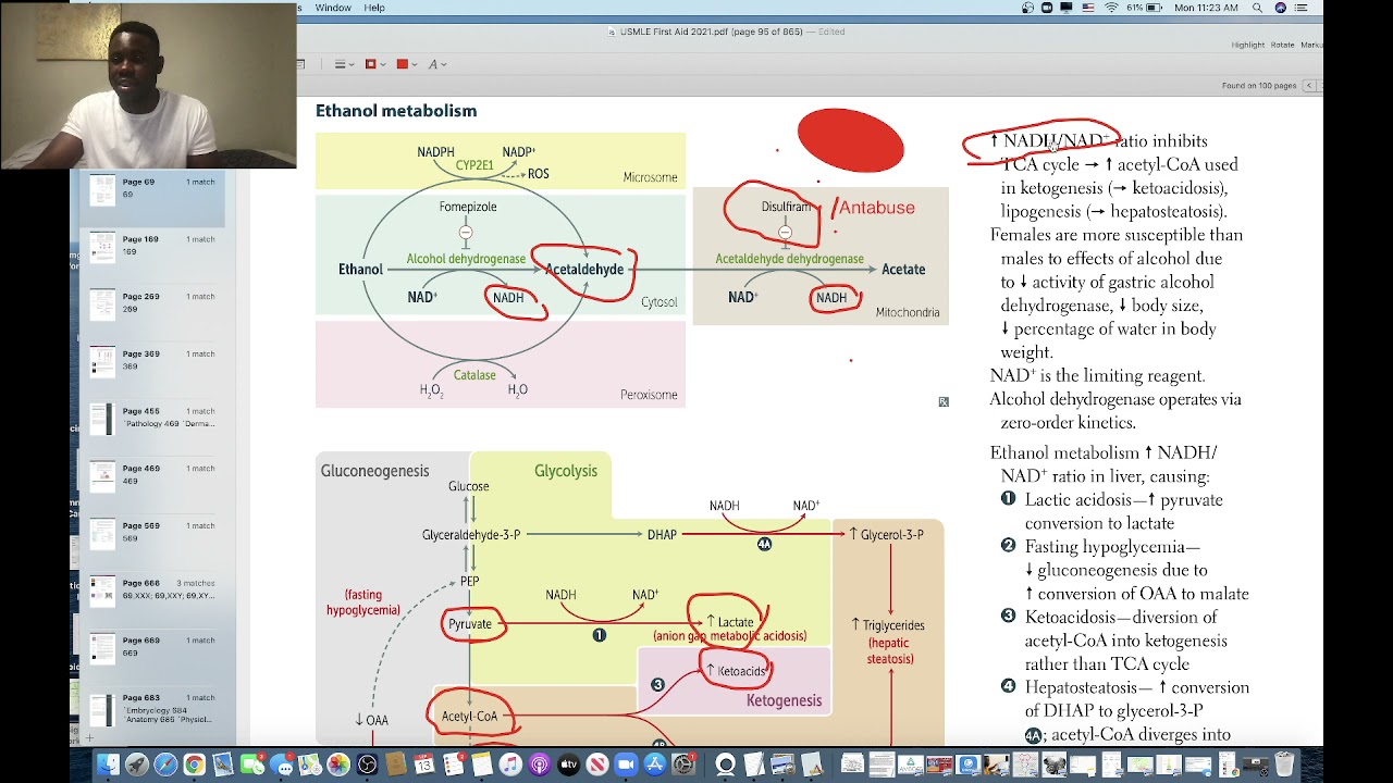 USMLE FIRST AID Biochemistry Review MADE EASY Metabolism Part 1 USMLE FIRST AID Biochemistry Review MADE EASY Metabolism Part 1
