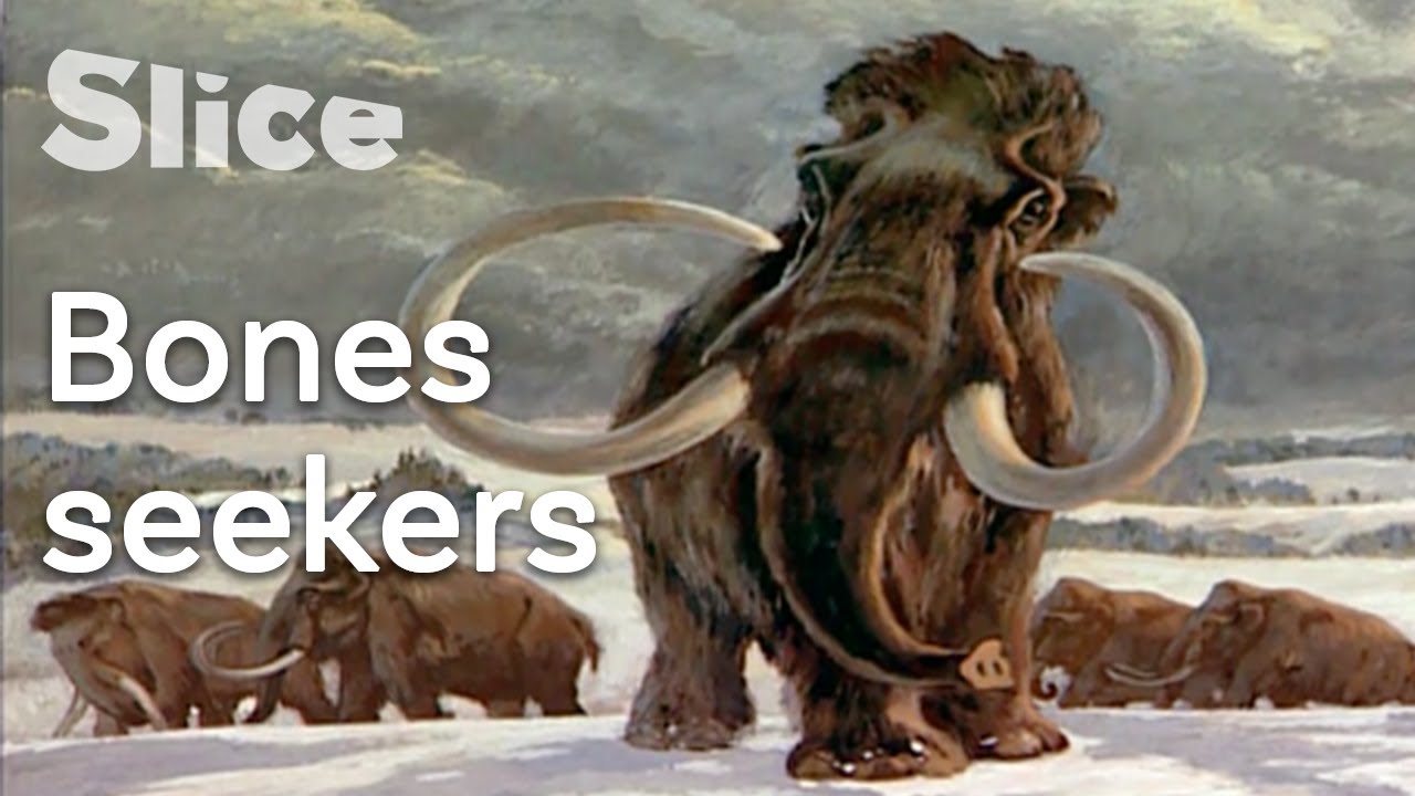 Documentary backdrop image for Mammoth remains' discovery in Siberia (2021)