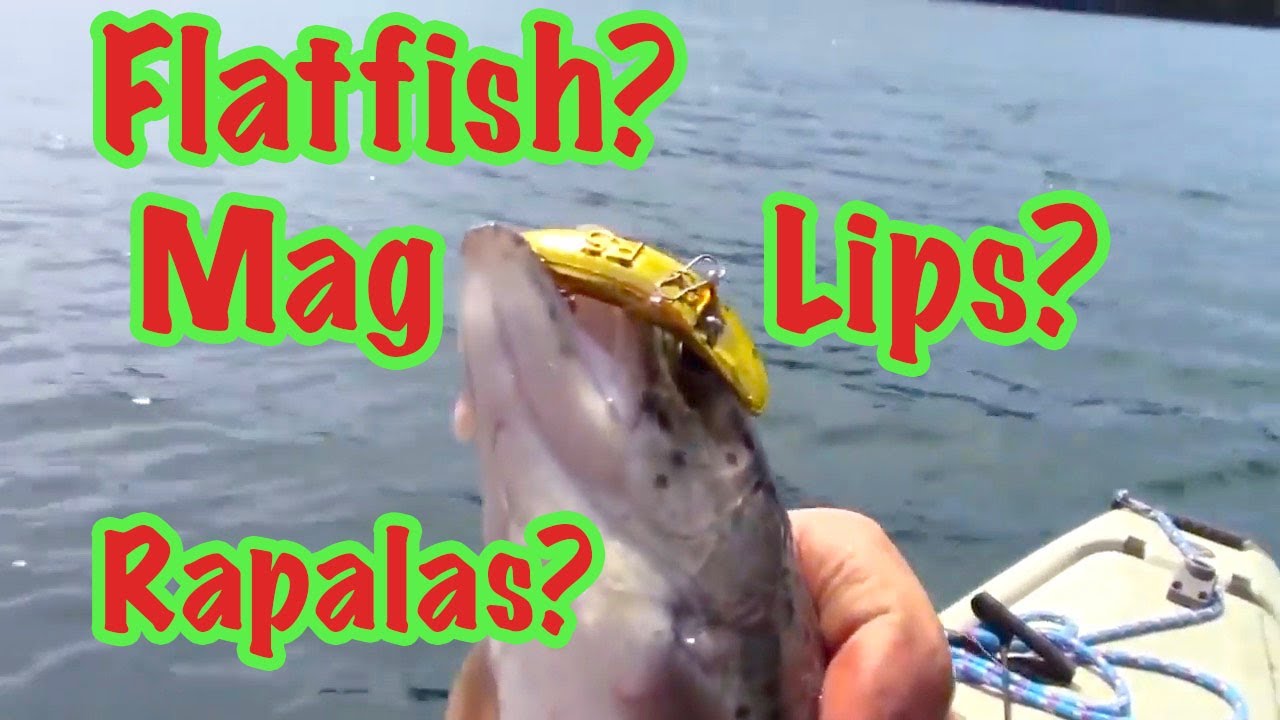 Trout: The Low Down On Flatfish, Mag Lips & Rapalas! 