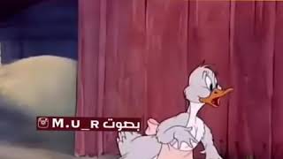 فيلم كرتون باللهجه العراقيه/لايفوتكم /يموت ضحك?