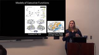 "Selective attention in speech comprehension & aphasia rehabilitation", Corianne Rogalsky