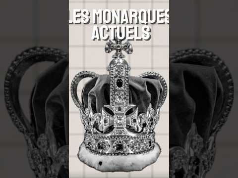 Comprendre la Philosophie Sociale de Lesmonarques