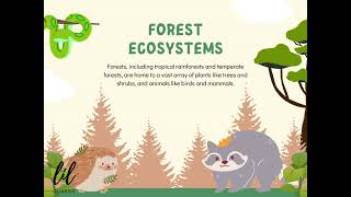 Flora & Fauna | Kids Science Lesson Flora And Fauna General Science