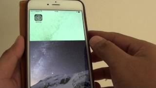 iPhone 6 Plus: How to Apply Inverted Color / Grayscale Filter Inside Zoom Window screenshot 5