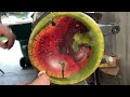 Woodturning  manzanita burl hybrid bowl