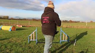 Beginner Agility Training - Adding Cues