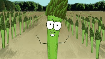 Groundwork Harvest of the Month: Jean-Yves the Asparagus