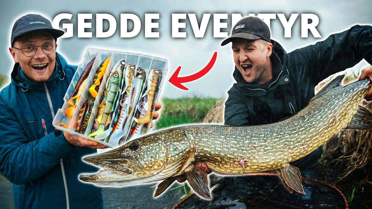 To døgn på jagt efter åens monsterfisk - JustfishingDK