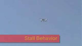 Multiplex Magister Demo Flight