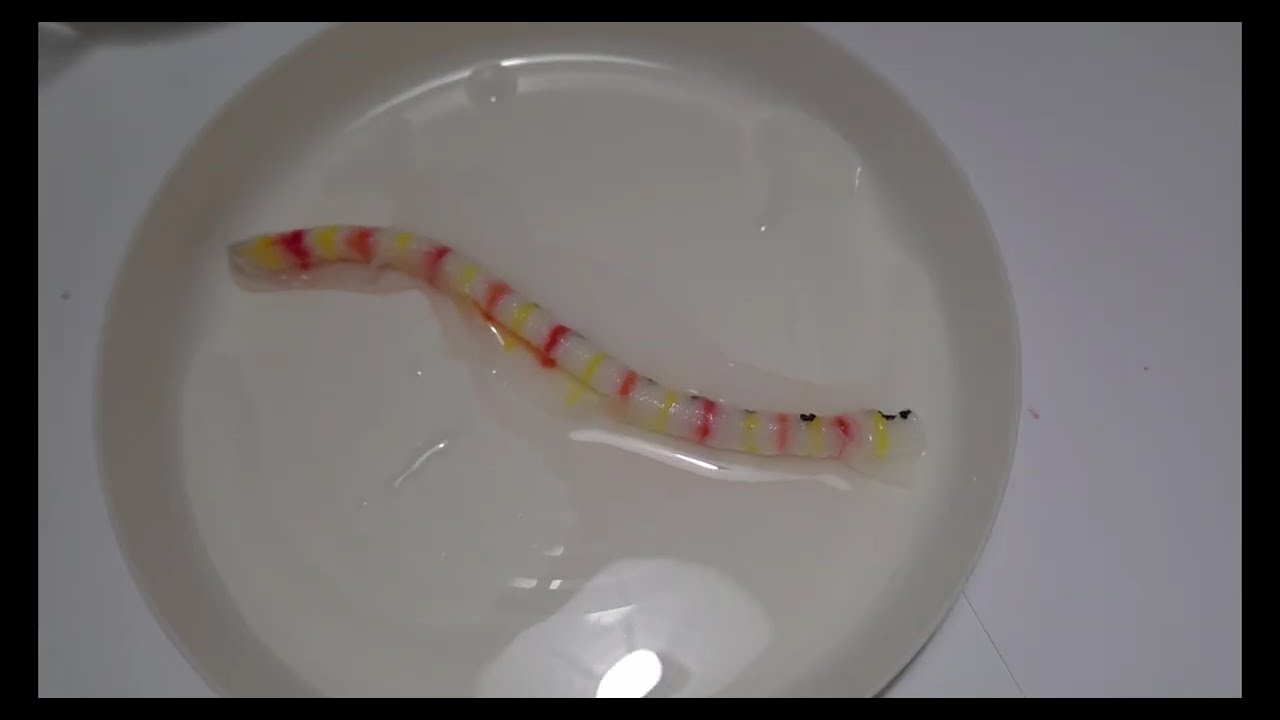 PRAVIMO MALE CRVIĆE ;)))