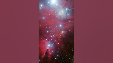 NGC 2264 and the Christmas Tree Cluster* #shorts