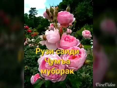 рузи саити чума муборак