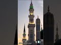 يالتنشدوني عن حالي مصطفى ابو علي يالتنشدوني عن حالي مصطفى ابو علي