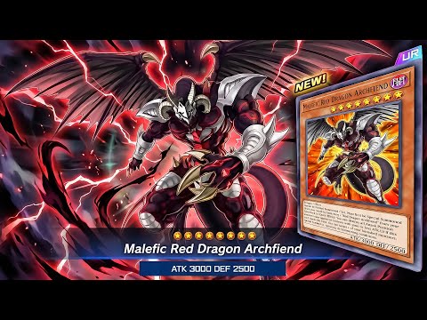 yugioh cards holder Yugi's Replica Combo! Deck Box & Belt – LDB Duel