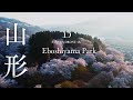 [桜ドローン撮影4K]山形県南陽市 烏帽子山公園, 双松公園 / Eboshiyama Park, Nanyo, Yamagata | 桜ドローンプロジェクト