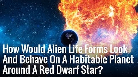 How Would Alien Life Forms Look And Behave On A Habitable Planet Around A Red Dwarf Star? | AUDIO