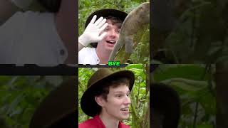 Amazon Animal Rescue: Releasing Rare Species Back to Wild! #shorts