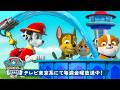 パウ・パトロール | パウ・パトロール ルックアウトタワーで90分楽しもう!| ラブル&クルー | テレビ東京系にて放送中