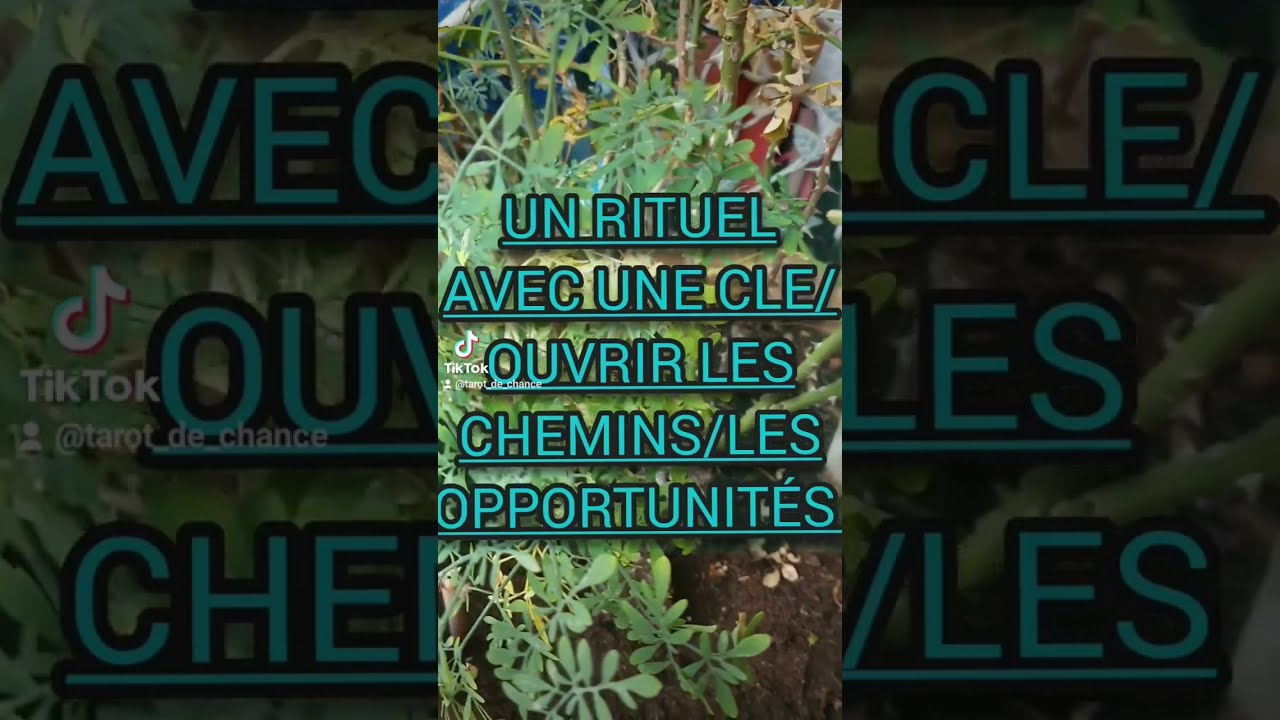 UN RITUEL POUR OUVRIR LES CHEMINS 